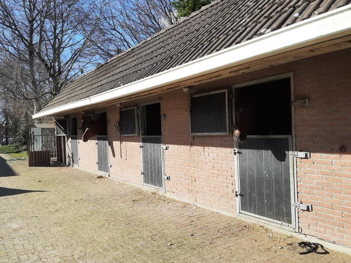 'T Wolthoes Vlagtwedde Exterior foto